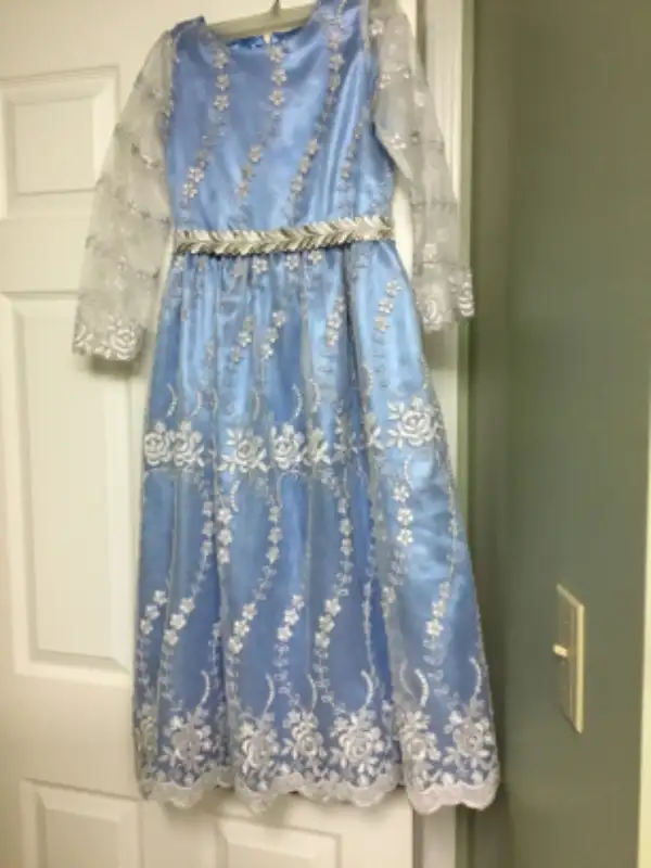Blue and Silver Dress62863739352323126