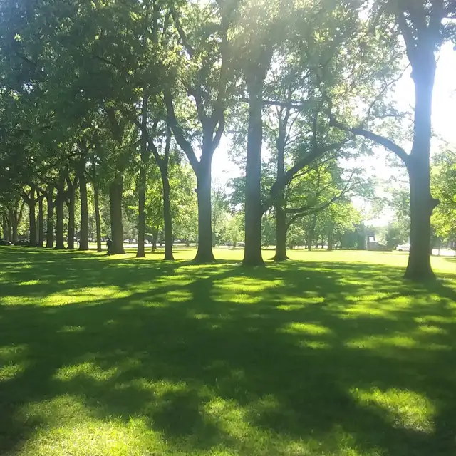 Midsummer Forest Immersion Experience – Stratford, Ontario548862839122841601