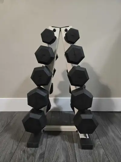 Dumbbell Set with stand, View more