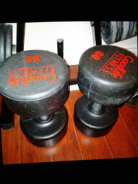 2x 80 pounds commercial urethane dumbbells *trade or sale*      