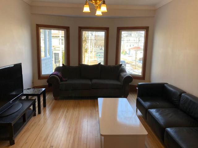 Spacious Three-Bedroom Apartment Close to Dalhousie University in Long Term Rentals in City of Halifax - Image 2
