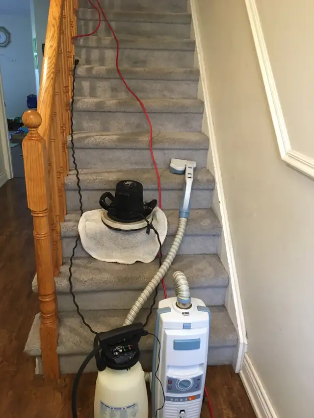 carpet cleaning 414910984948951044