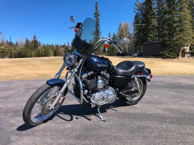 2009 HD Sportster, XL1200c in Street, Cruisers & Choppers in Edmonton - Image 5