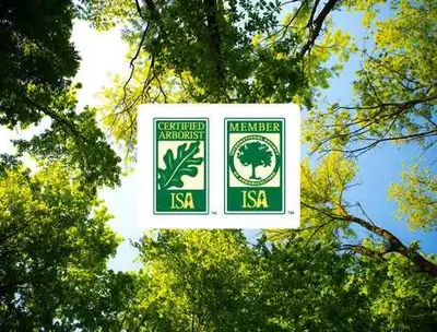 Shaping Healthy Landscapes Together. Insured., View more