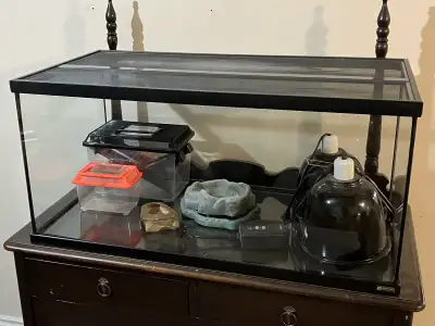 40gal terrarium, View more