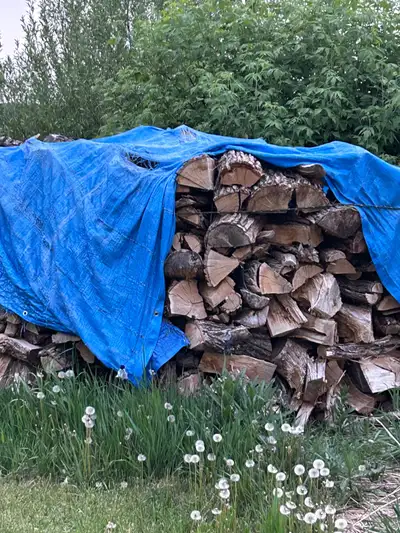 Seasoned Oak cut split 180 per 6.5 ft length box level. U load