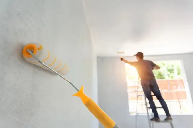 Professional Painter - Professional Quality Painting 514829668562866659993089126