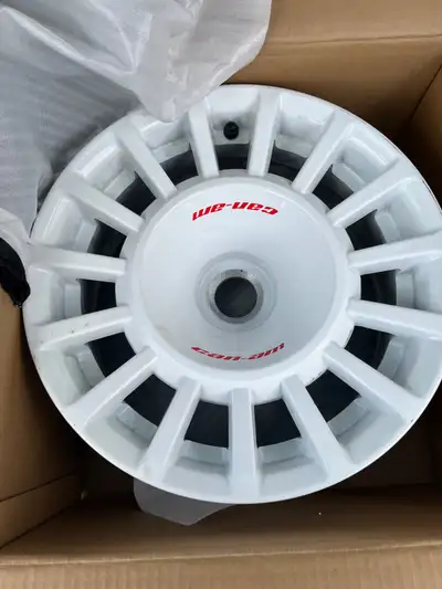 2022 Ryker Rally 900 Rims, about 250km on them.
