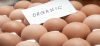 Eggs, Free Range Organic Fed