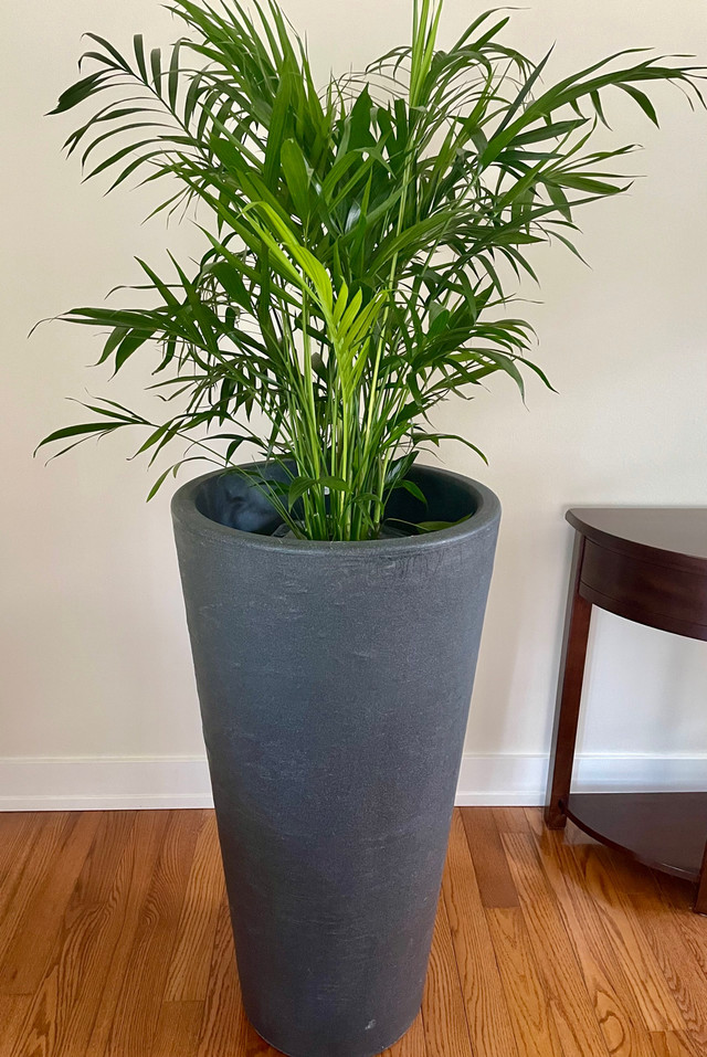 Planter pot modern in Plants, Fertilizer & Soil in Calgary