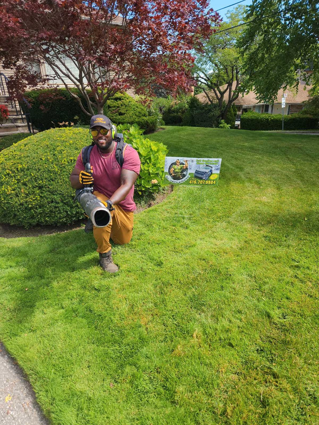 Grasscutting,Spring cleanup,Weedcontrol pk,Aeration,Bushtrimming in Lawn, Tree Maintenance & Eavestrough in City of Toronto