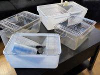 Cages d'élevage pour souris de laboratoire
