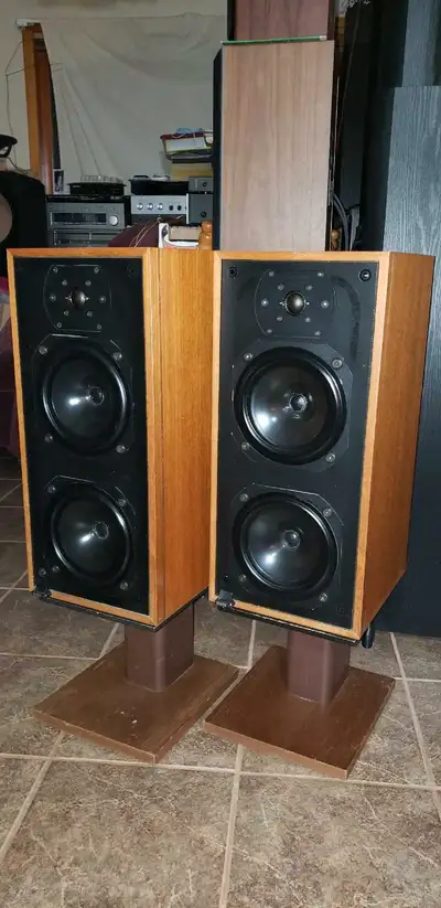 Many speaker brands for sale at pretty much any budget Athena, Axiom, Energy, Martin Logan, Mirage,...