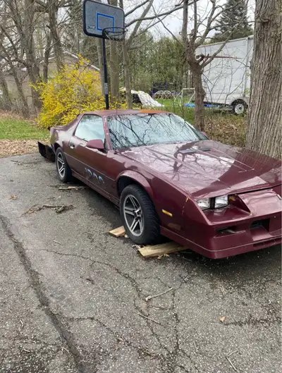 For sale Project car! 1984 Camaro z28 with a rebuilt chev 350 out of an lt1 corvette bored out 30 th...