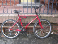 Red Fuji bike