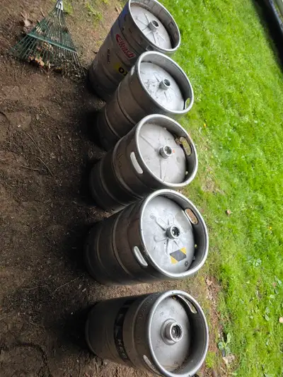 5 empty Kegs for sale, View more
