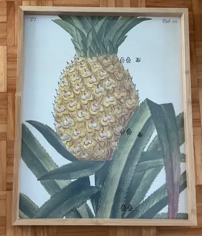 Cadre avec image Ikea, View more