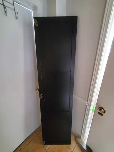 Selling brown PAX wardrobe door (similar to Bergsbo) 19.5 x 76.25 inches, with hinges and screws. Pl...