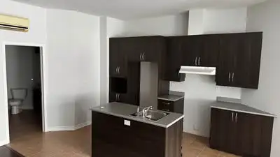 Superbe 3 ½ à deux rues de la Promenage Hochelaga
