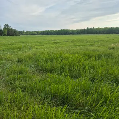 pasture land available , View more