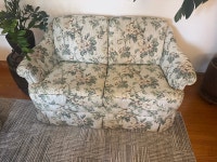 Sofa and Loveseat Set