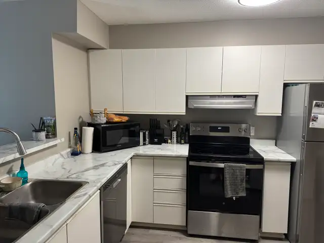 Looking for Roommate - St.Laurent area - Unfurnished Bedroom in Room Rentals & Roommates in Ottawa - Image 5