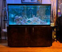 90 gallons aquarium with stand & accessories