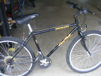 Specialized hard Rock Mountain Bike 16" Frame