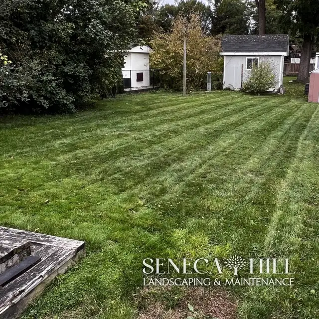Professional Lawn Maintenance Plans | SenecaHill Landscaping in Lawn, Tree Maintenance & Eavestrough in City of Toronto - Image 5