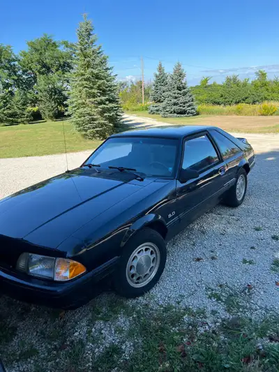 I am the 2nd owner of this car, I have had it for 29yrs and it’s never seen winter. It is in origina...