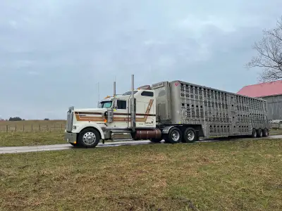 A Z livestock driver, View more