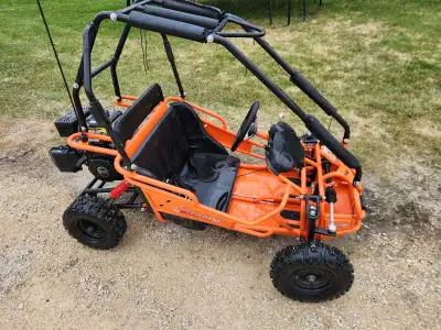 This is one of the best and safest go carts for kids. It has a 4 stroke motor which has plenty enoug...