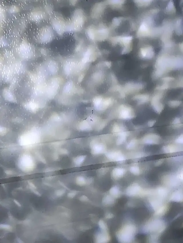 NOMA LED Kaleidoscope Projector Christmas/Holiday Lights in Outdoor Lighting in City of Toronto - Image 4