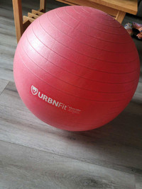 Perfect exercise ball urban Fit