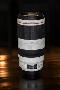 Canon EF 100-400mm f/4.5-5.6L II USM and EF 1.4X III Extender