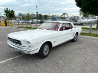 1964 1/2 Ford Mustang Convertible White & Red 1965 - Certified