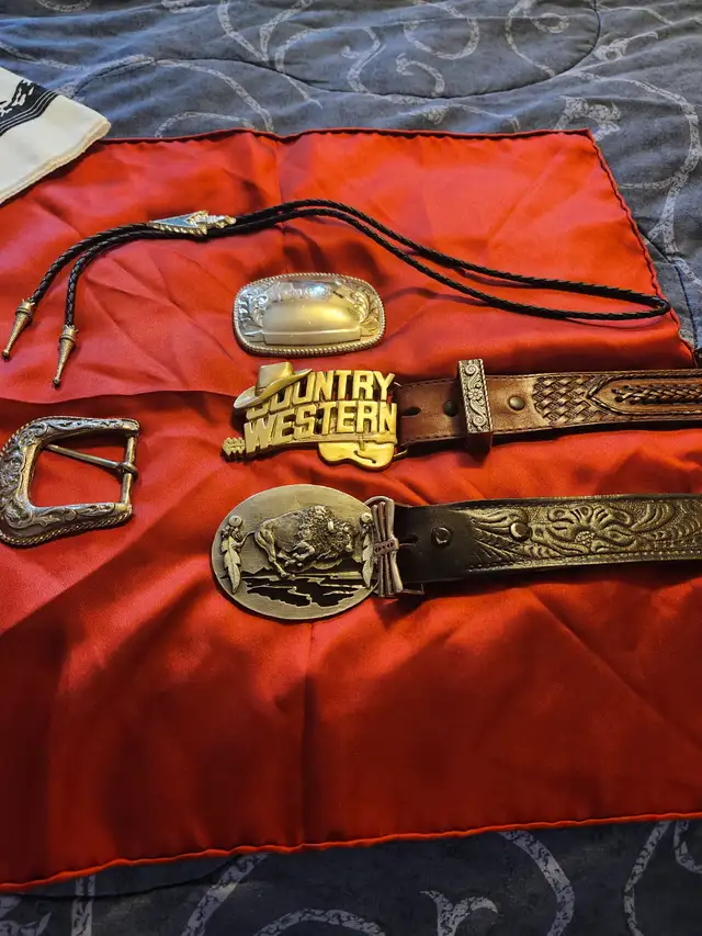 COUNTRY WESTERN THEMED ITEMS-Your choices-OFFERS!!!! in Men's in Calgary - Image 11