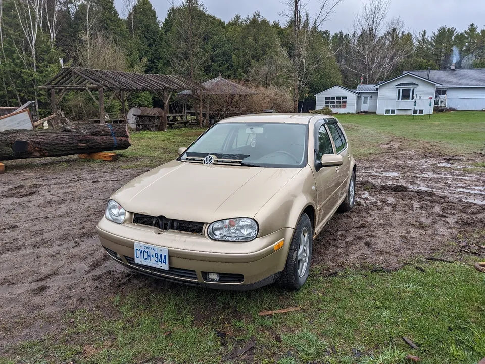 2004 golf tdi