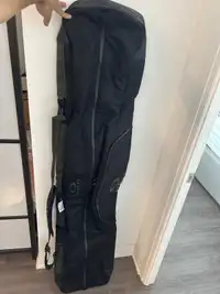 Ski bag luggage 