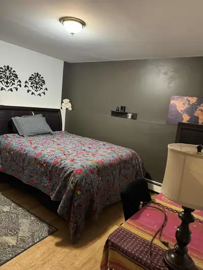 For working women only- One bedroom with attached bath fully furnished room in the basement of a hou...