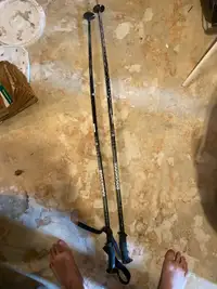 Free Ski Poles