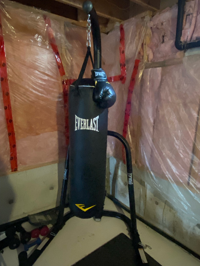 Punching Bag With Stand and Gloves  in Exercise Equipment in Markham / York Region - Image 3