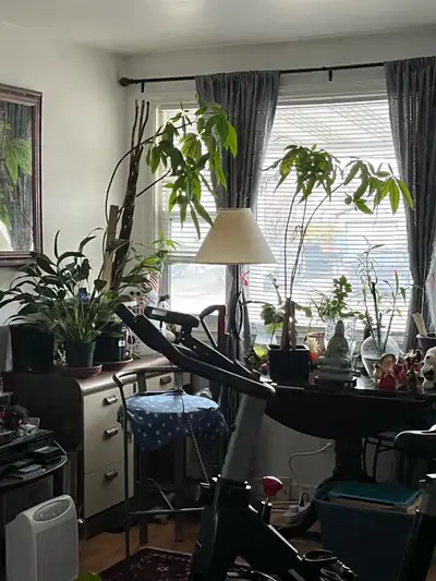 Pretty room for rent in Beautiful Orillia