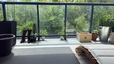Seeking roommate - spare bedroom and bathroom in condo for rent