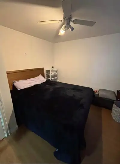 À louer - Appartement 2 1/2 studio - Entièrement meublé