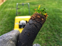 Spring Lawn Aeration | Home Turf Technician