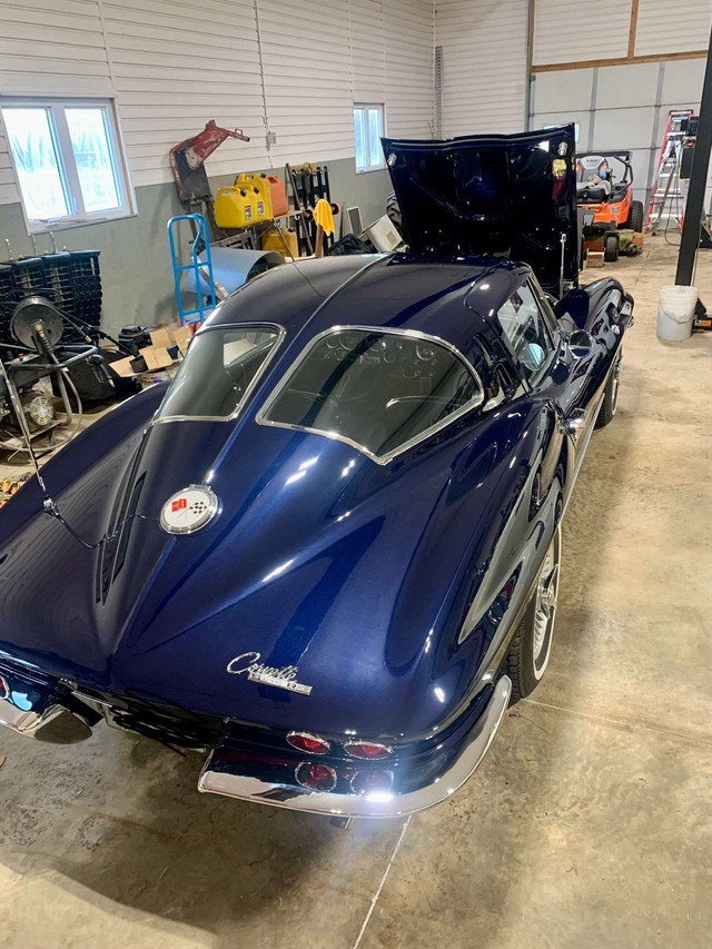 Car detailing (interior & exterior) in Detailing & Cleaning in Cambridge - Image 4