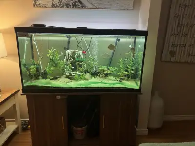 90 gal aquarium , View more