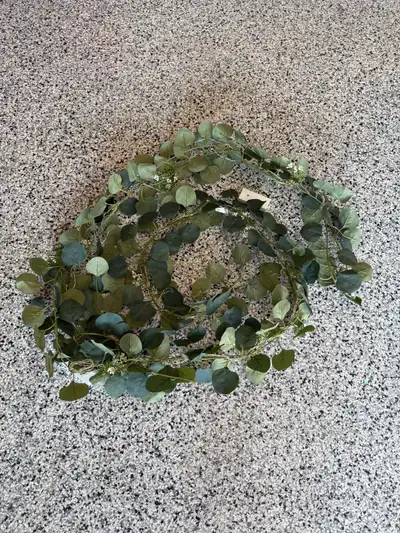 Excellent condition Has 2 sets of fairy lights on it 9’ in length $10 FIRM Pick up in Lakeland area...