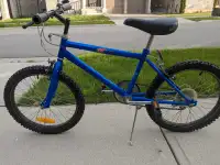 Overload Mountain Bike , 19 inch, Blue.